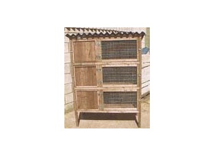 Triple hotsell rabbit hutch